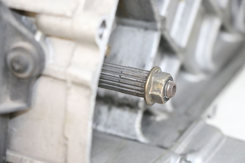 photo de MOTOR PIAGGIO LIBERTY 4T 50 (2018 - 2021) - Kenmerkende details