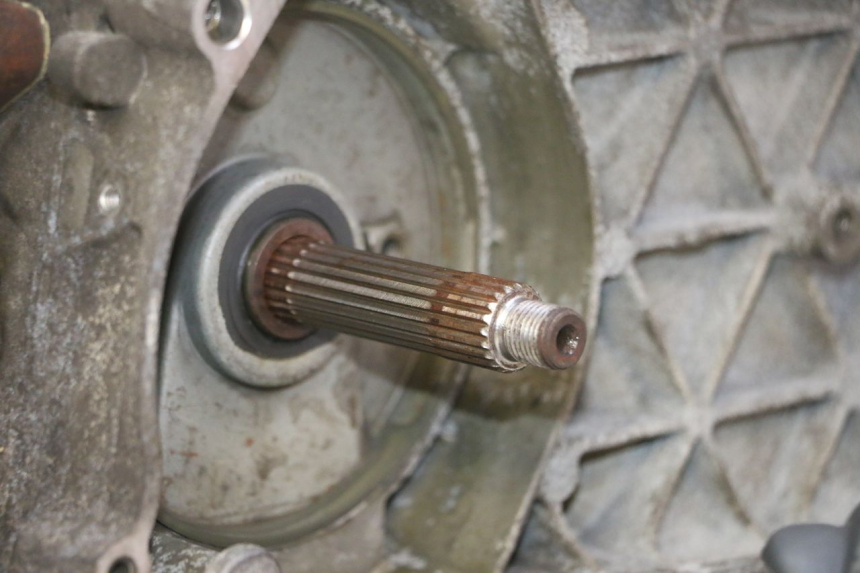 photo de MOTOR PIAGGIO LIBERTY 125 (1998 - 2008) - Kenmerkende details