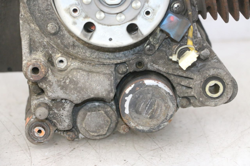 photo de MOTOR PIAGGIO LIBERTY 125 (1998 - 2008) - Technische close-up