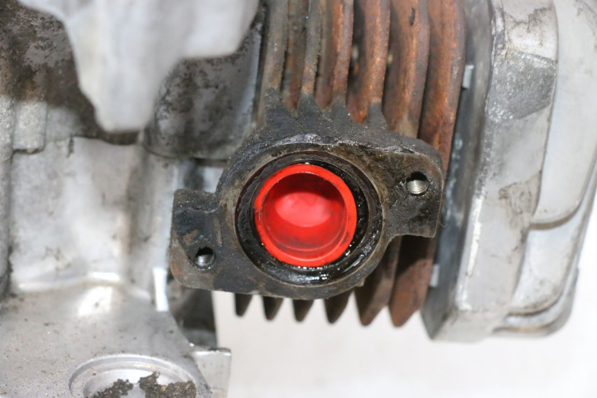 photo de MOTOR PEUGEOT LUDIX PRO 2T 50 (2010 - 2017) - Staat van het oppervlak