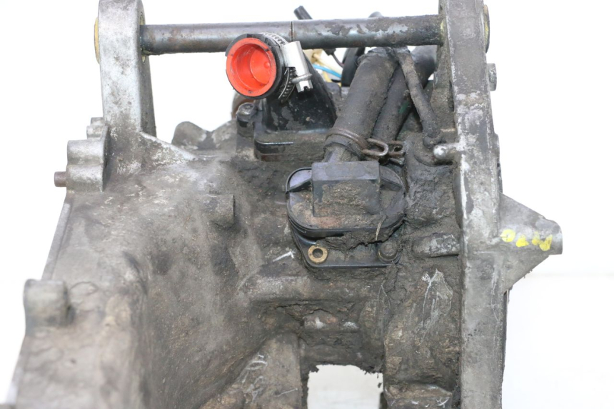 photo de MOTOR PEUGEOT LUDIX SNAKE 2T 50 (2004 - 2014) - Productaanzicht