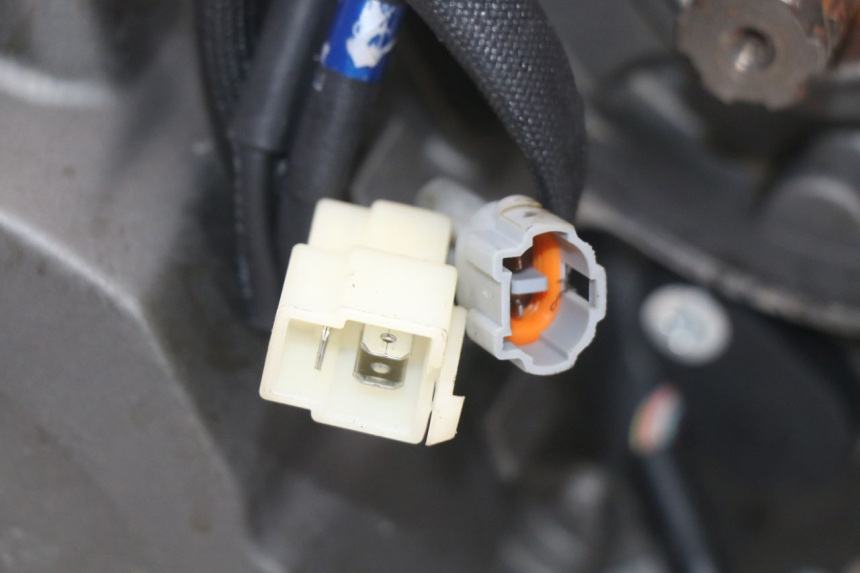 photo de MOTOR MASAI SCRAMBLER SPORT 125 (2021 - 2025) - Overzicht