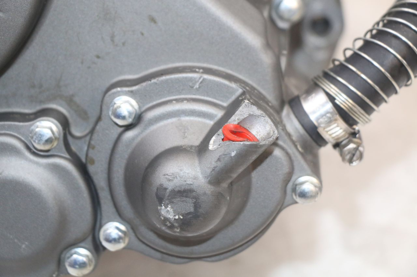 photo de MOTOR MASAI SCRAMBLER SPORT 125 (2021 - 2025) - Markeringen en referenties