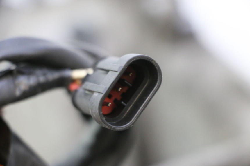 photo de MOTOR PIAGGIO MP3 RL 250 (2006 - 2010) - Kenmerkende details