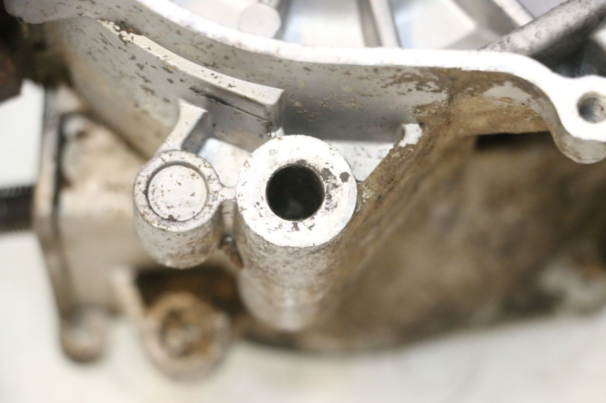 photo de MOTOR IMF INDUSTRIE NEW PACH 2T 50 (2014 - 2020) - Overzicht