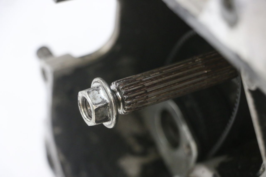 photo de MOTOR PIAGGIO NEW TYPHOON 50 (2018 - 2021) - Markeringen en referenties