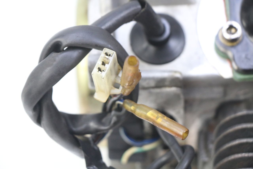 photo de MOTOR IMF INDUSTRIE PACH 2T 50 (2009 - 2018) - Detailaanzicht