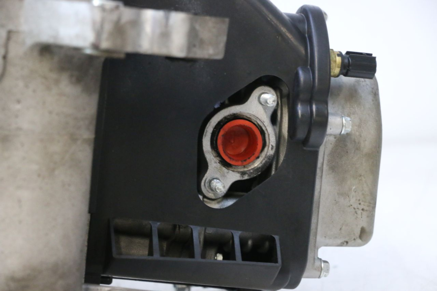 photo de MOTOR JM MOTORS R-MAX TECH 50 (2024 - 2026) - Andere kijkhoek