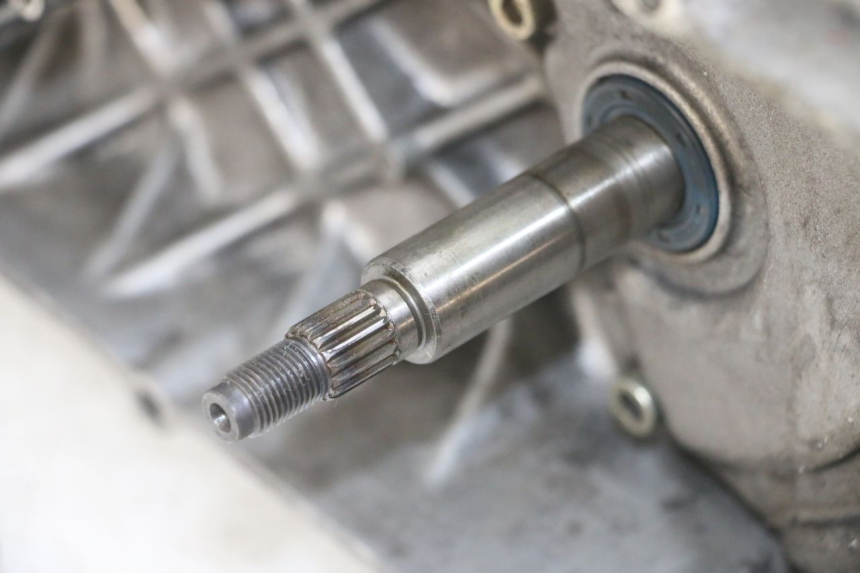 photo de MOTOR APRILIA RALLY AC 50 (1995 - 2004) - Markeringen en referenties