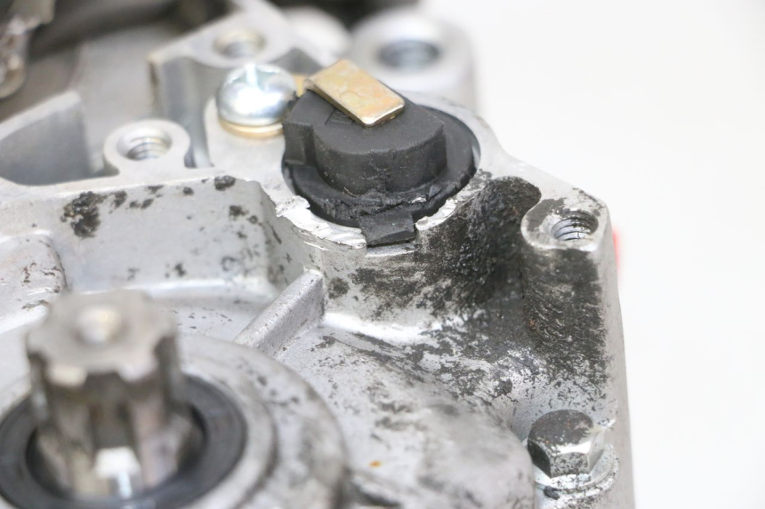 photo de MOTOR APOLLO RFZ 125 - Technische close-up