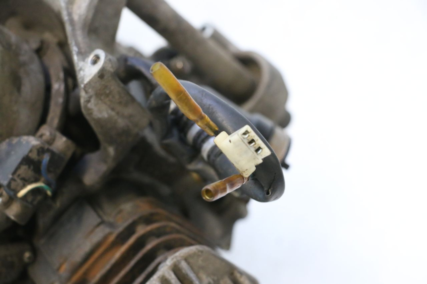 photo de MOTOR TNT MOTOR ROMA 10' 2T 50 (2011 - 2018) - Technische close-up