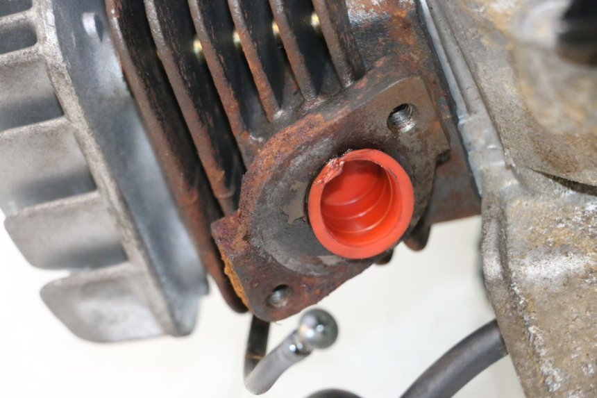 photo de MOTOR TNT MOTOR ROMA 12' 2T 50 (2007 - 2018) - Detail van het onderdeel