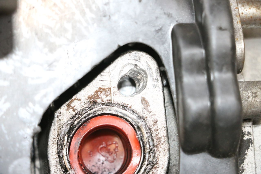 photo de MOTOR JM MOTORS SANTANA 50 (2014 - 2023) - Zoom op gebruiksstaat