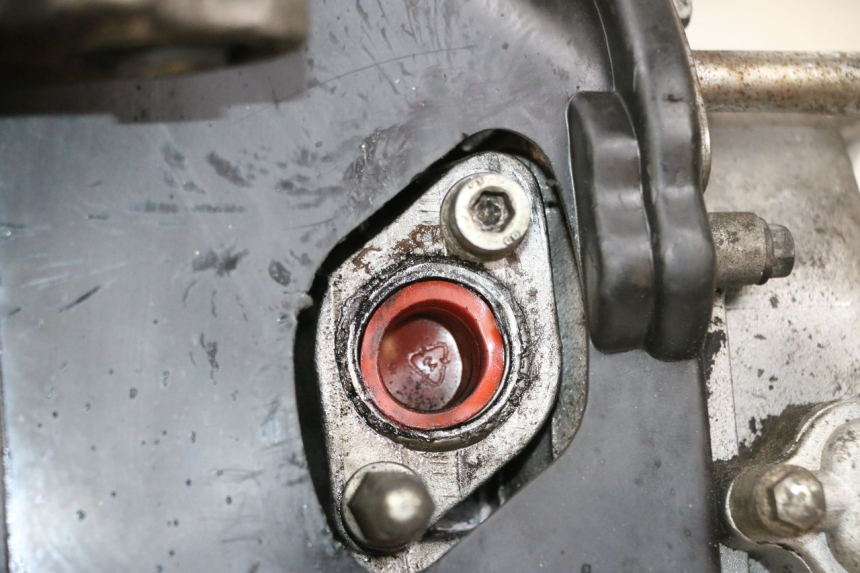 photo de MOTOR JM MOTORS SANTANA 50 (2014 - 2023) - Technische close-up