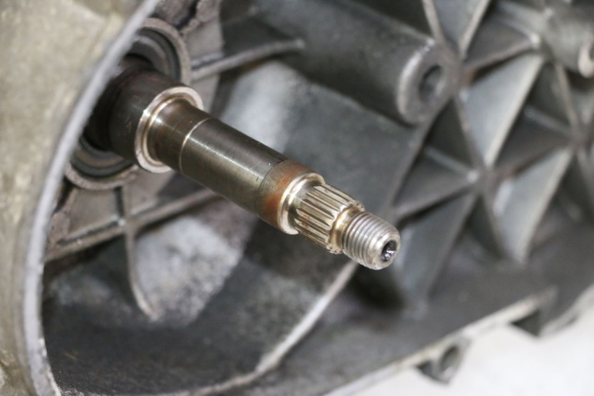 photo de MOTOR PEUGEOT SATELIS 125 (2006 - 2009) - Zoom op kwaliteit