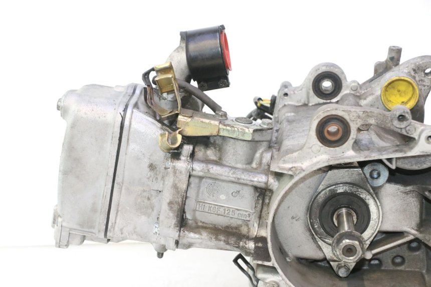 photo de MOTOR HONDA SH 125 (2001 - 2003) - Detailaanzicht