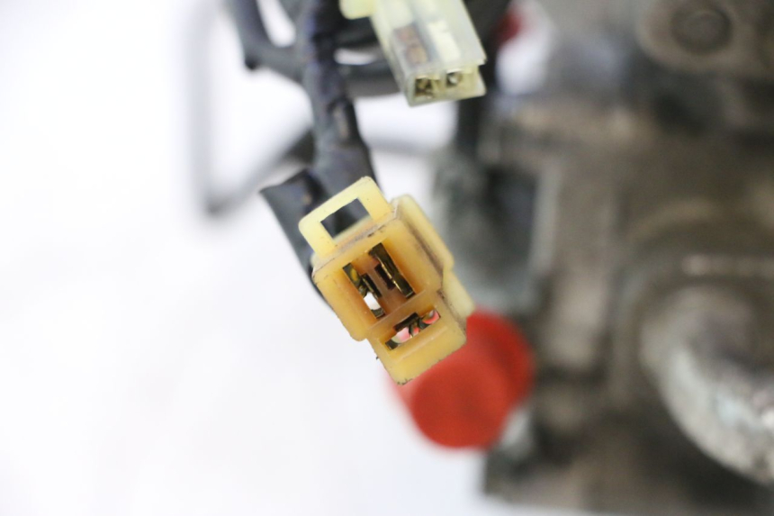 photo de MOTOR HONDA SH 125 (2001 - 2003) - Gecontroleerd onderdeel