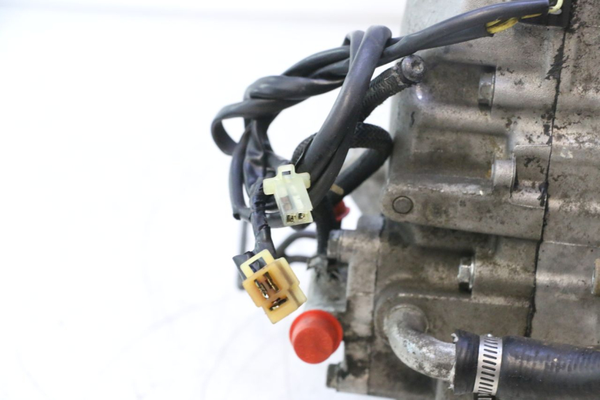 photo de MOTOR HONDA SH 125 (2001 - 2003) - Markeringen en referenties