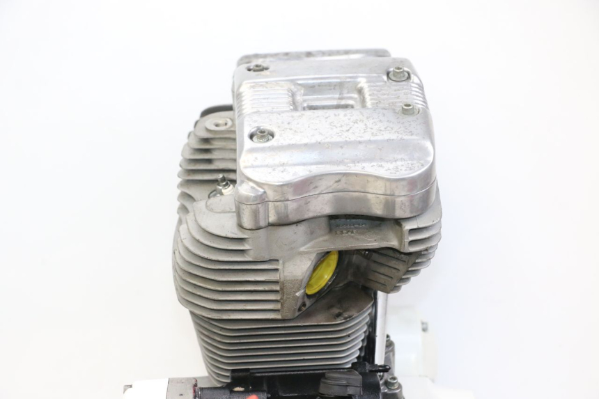 photo de MOTOR HARLEY DAVIDSON SPORTSTER XL CUSTOM 883 (1999 - 2006) - Focus op structuur