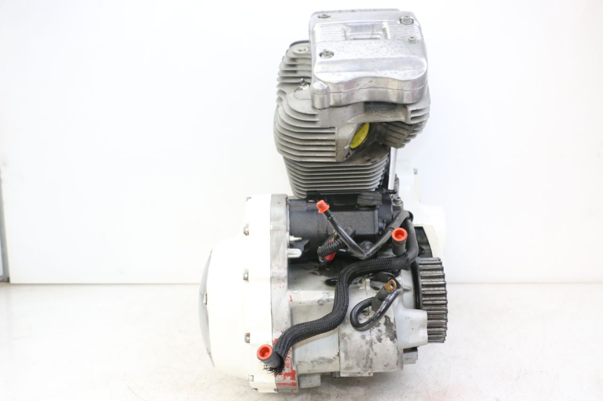 photo de MOTOR HARLEY DAVIDSON SPORTSTER XL CUSTOM 883 (1999 - 2006) - Zoom op kwaliteit