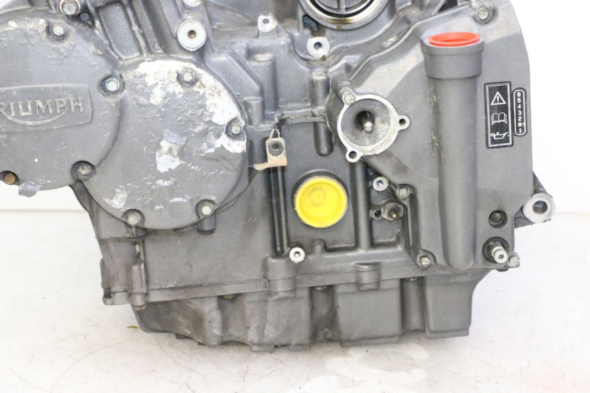 photo de MOTOR TRIUMPH SPRINT 900 (1995 - 1998) - Technische close-up