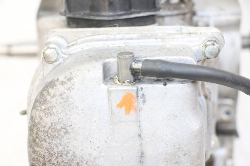 photo de MOTOR JM MOTORS SUNNY 50 (2017 - 2020) - Kenmerkende details