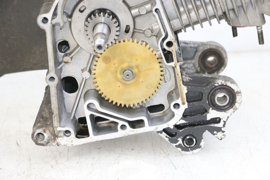 photo de MOTOR JM MOTORS SUNNY 50 (2017 - 2020) - Staat van het oppervlak