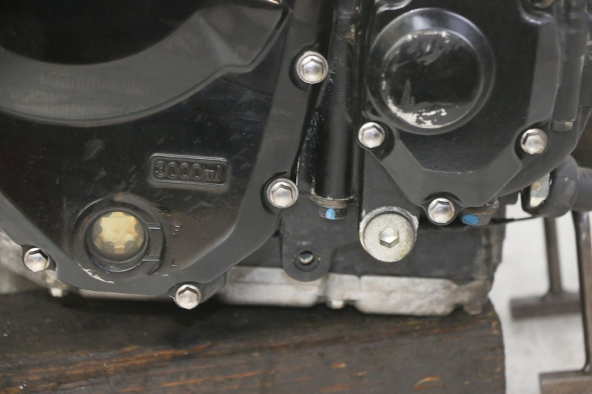 photo de MOTOR SUZUKI GSX F GSXF 650 (2007 - 2015) - Detail van het onderdeel