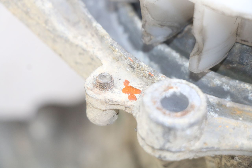 photo de MOTOR PEUGEOT TREKKER 50 (1998 - 2004) - Technische close-up