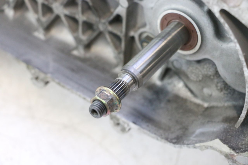 photo de MOTOR PEUGEOT TWEET 4T 50 (2018 - 2022) - Kenmerkende details