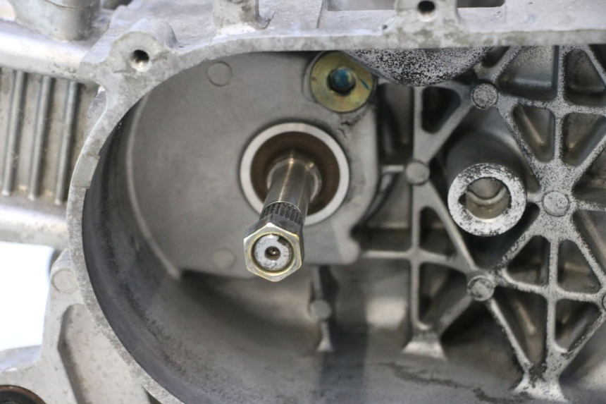 photo de MOTOR PEUGEOT TWEET 4T 50 (2018 - 2022) - Aanvullende foto