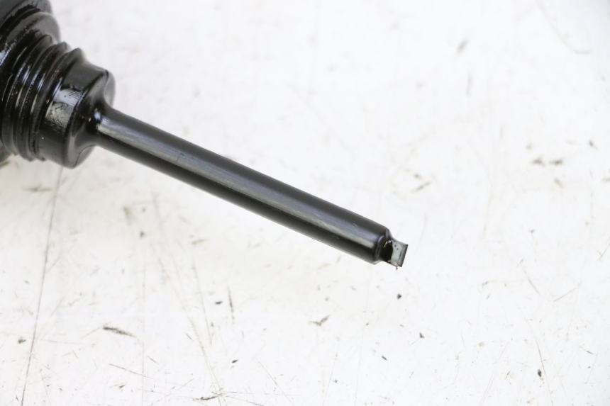 photo de MOTOR PEUGEOT TWEET PRO CARGO 50 (2018 - 2022) - Detail van het onderdeel