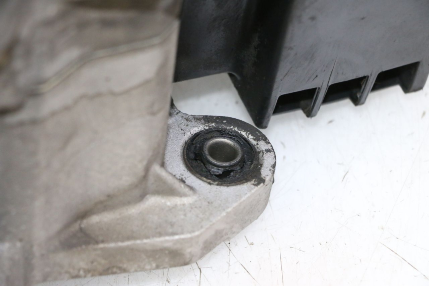 photo de MOTOR PEUGEOT TWEET PRO CARGO 50 (2018 - 2022) - Detailaanzicht