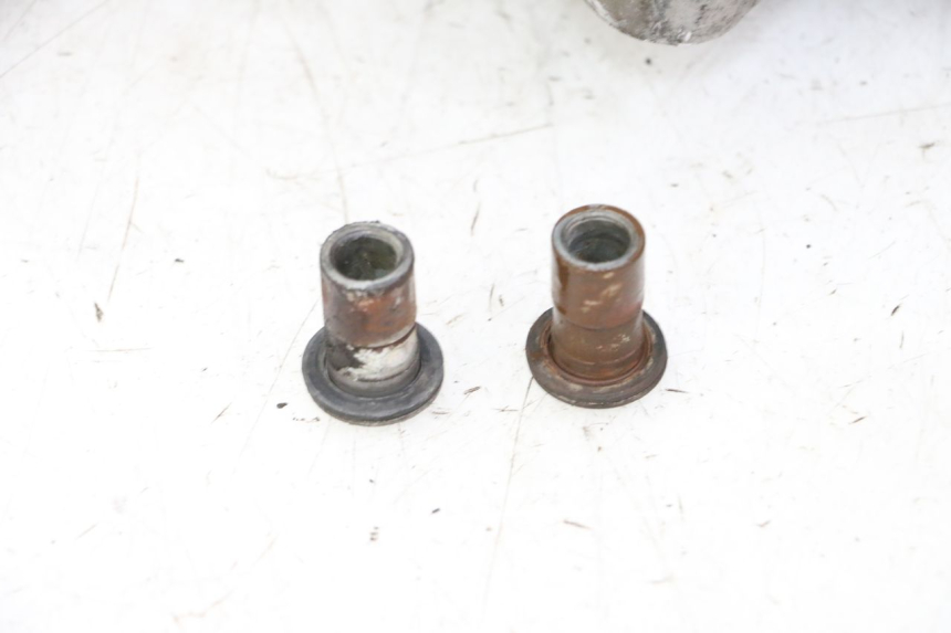 photo de MOTOR PEUGEOT TWEET PRO CARGO 50 (2018 - 2022) - Aanvullende foto