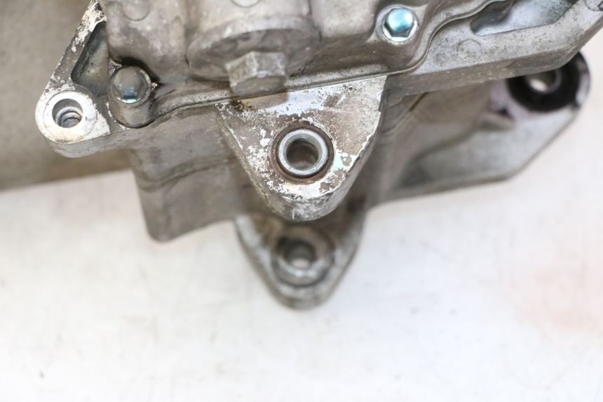 photo de MOTOR PEUGEOT TWEET PRO CARGO 50 (2018 - 2022) - Zoom op kwaliteit