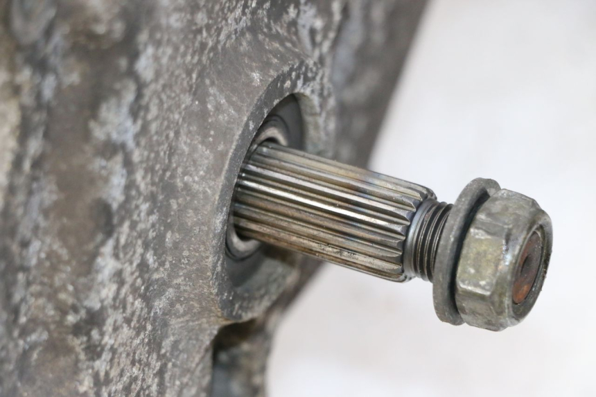 photo de MOTOR PEUGEOT TWEET PRO CARGO 50 (2018 - 2022) - Detail van het onderdeel