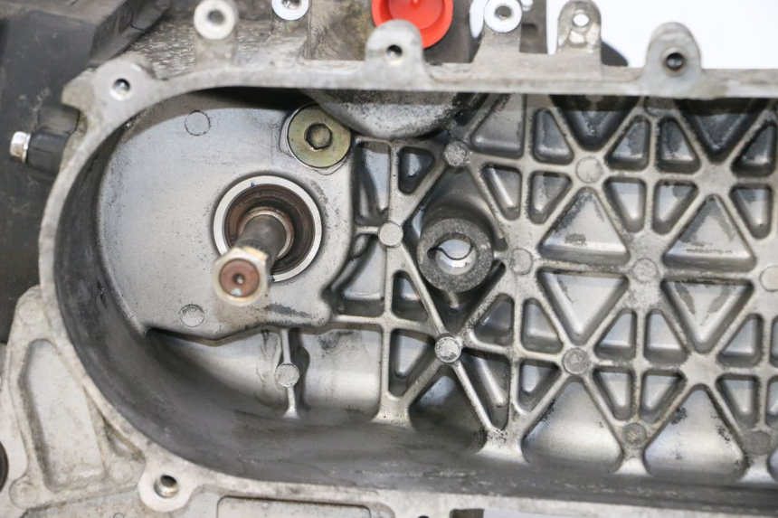 photo de MOTOR PEUGEOT TWEET PRO CARGO 50 (2018 - 2022) - Gecontroleerd onderdeel