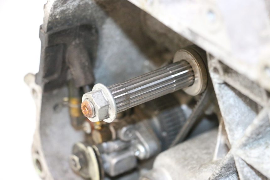 photo de MOTOR PIAGGIO TYPHOON 50 (2000 - 2009) - Detail van het onderdeel
