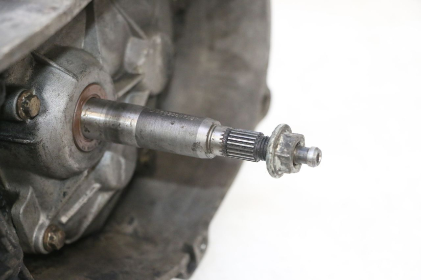 photo de MOTOR PIAGGIO VESPA LX 2T 50 (2005 - 2013) - Zoom op componenten
