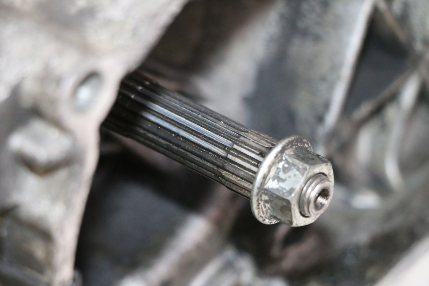 photo de MOTOR PIAGGIO VESPA S 2T 50 (2007 - 2014) - Focus op structuur