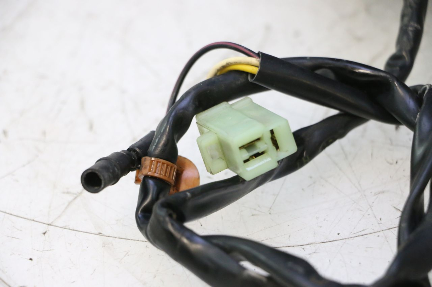 photo de MOTOR PEUGEOT VIVACITY 50 (2004 - 2009) - Kenmerkende details