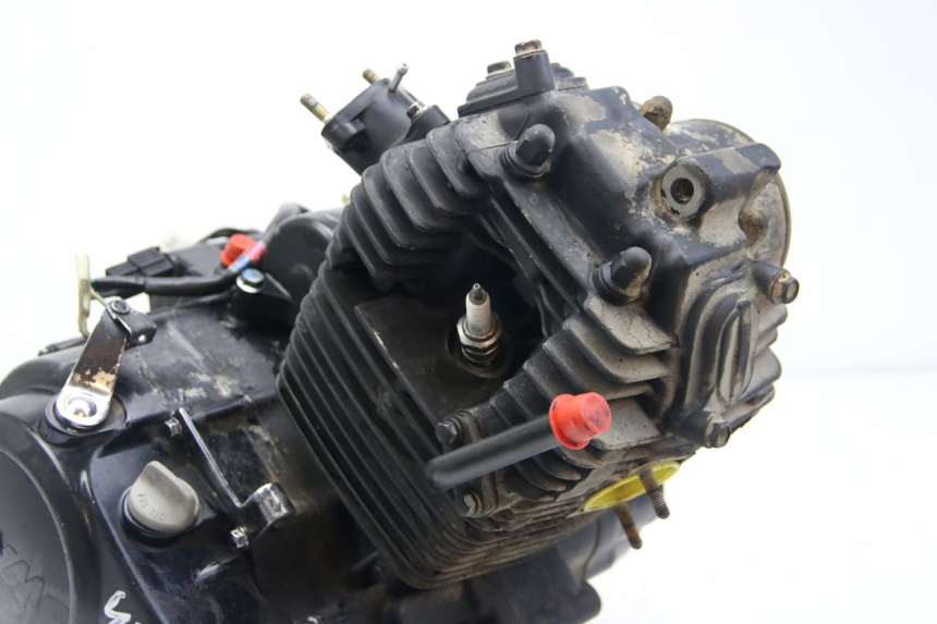 photo de MOTOR SYM WOLF SB 125 (2011 - 2018) - Kenmerkende details