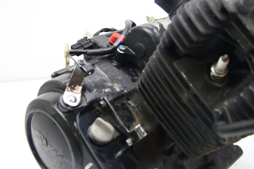 photo de MOTOR SYM WOLF SB 125 (2011 - 2018) - Zoom op componenten