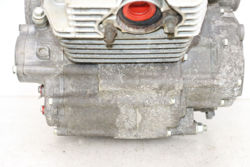 photo de MOTOR YAMAHA YFM R RAPTOR 250 (2008 - 2014) - Aanvullende foto