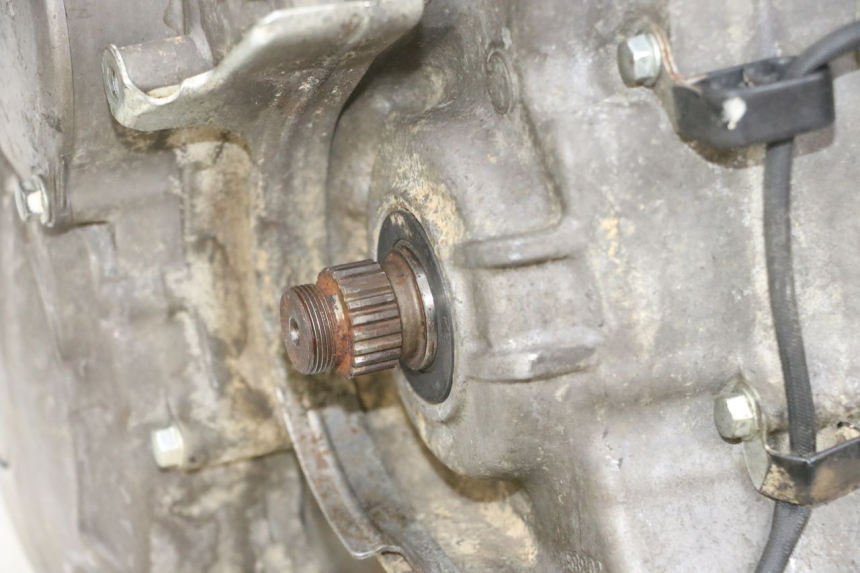 photo de MOTOR YAMAHA YFM R RAPTOR 250 (2008 - 2014) - Technische close-up