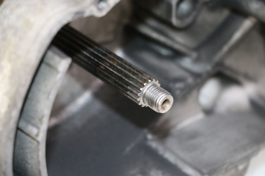 photo de MOTOR YAMAHA YP MAJESTY 125 (2002 - 2006) - Visuele inspectie