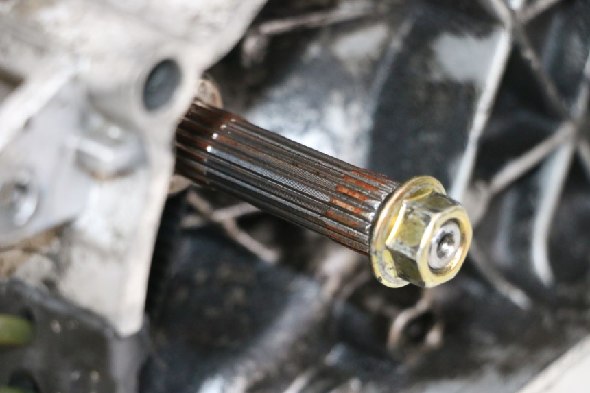 photo de MOTOR PIAGGIO ZIP 2T 50 (2009 - 2019) - Visuele inspectie