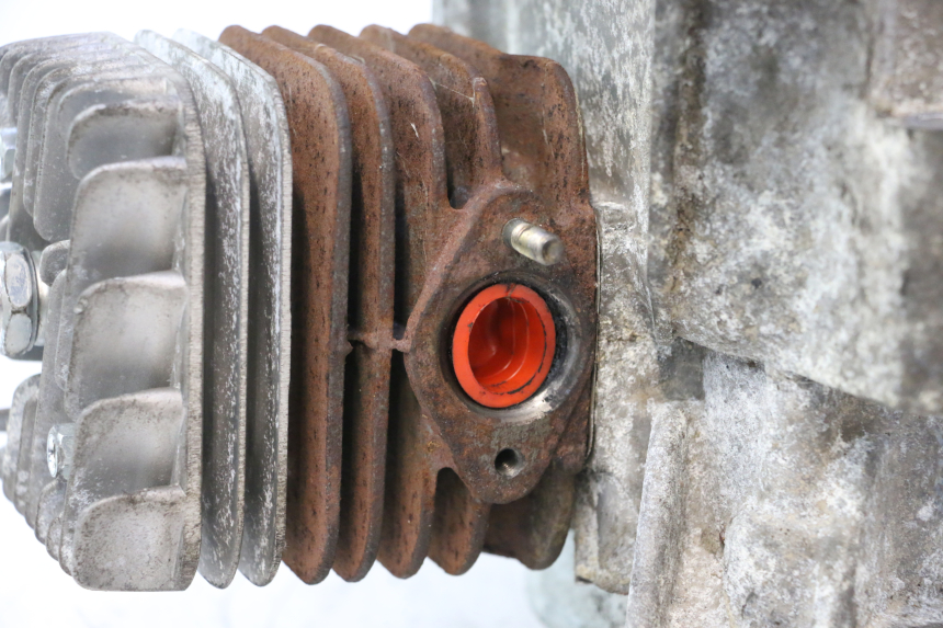 photo de MOTOR PIAGGIO ZIP 2T 50 (2009 - 2019) - Technische close-up