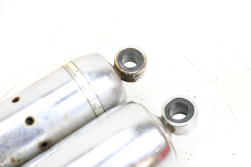 photo de SET ACHTERSCHOKDEMPERS HONDA VT C2 SHADOW 750 (1997 - 2001) - Overzicht