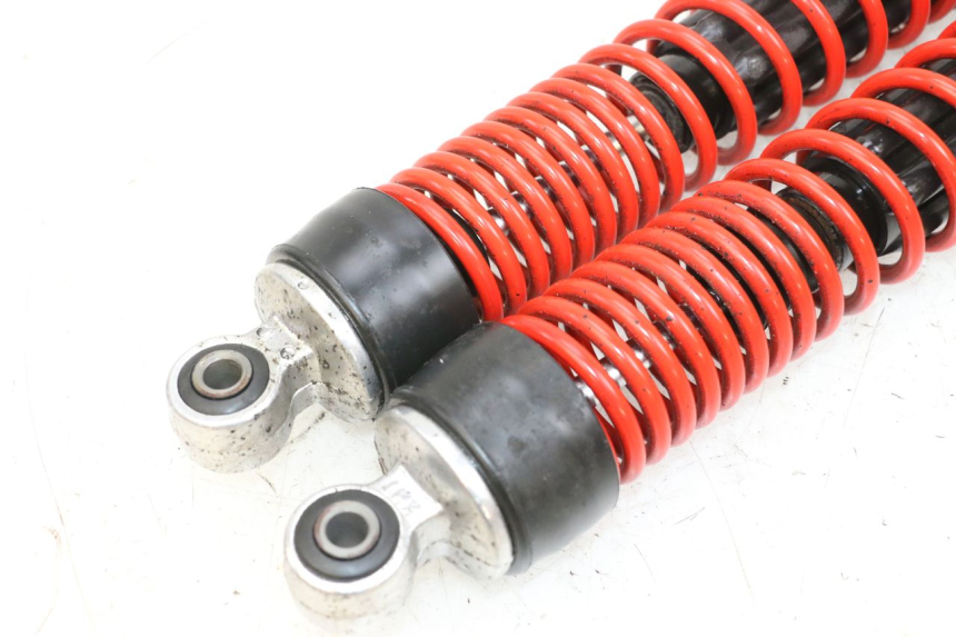 photo de SET ACHTERSCHOKDEMPERS PIAGGIO MP3 HPE 300 (2019 - 2026) - Overzicht